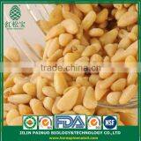 Wholesale Factory Direct Organic Korean Pine Nut Kernels thumbnail-2