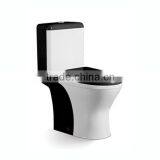 Floor Mounted S-trap Water Color Toilet thumbnail-2