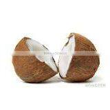 Semi Husked Cocount thumbnail-5