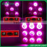 New Adjustable Led Grow Light Full Spectrum Diy Cob Led Grow Light Kit 1800w Led Grow Light Grow Green House thumbnail-1