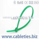 High Temperature Resistant Standard Self-locking Nylon Wire Cable Tie thumbnail-1