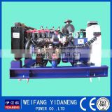 Yidaneng Power Yangdong 10kw biogas generator genset