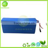 On Promotion 2 Years Warranty 48V 20Ah LiFePO4 Battery Pack