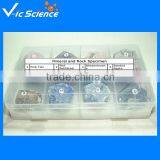 Hot Sale Specimen Understanding the Rocks