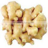 All The Year Provide Size 100g/200g Ginger thumbnail-6