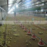 Automatic Chicken Feeding Machine