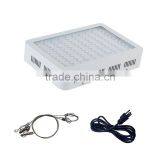 Best Price of High Intesity High Lumens Output 300w Led Grow Light for Plants Grow thumbnail-3