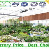 Plastic Greenhouse Agriculture thumbnail-2