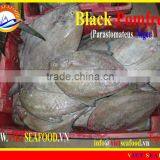 FROZEN BLACK POMFRET WHOLE ROUND