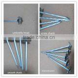 BWG9 Galvanized Umbrella Head Twisted Roofing Nail thumbnail-2