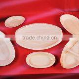 Biodegradable Tableware thumbnail-5