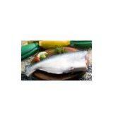 Pangasius Whole, Headless, Gutted, Tail off thumbnail-1