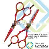 Barber Thinning Scissors Pair of Barber Hair Cutting Scissors Thinning Shears