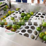 2018 High Quality Commercial Apple Grader Fruit and Vegetable Grader on Sale thumbnail-7