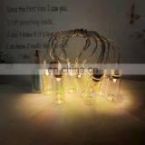 Wholesale High Quality Holiday Decoration Grass Bottle Battery Operated Led Wishing Bottle String Fairy Light For Party Home