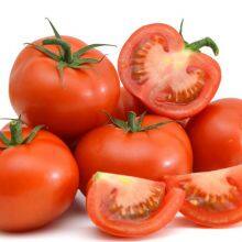 Bright Red Hybrid Tomato Seeds Israel Bonbon Vegetable Seeds thumbnail-2
