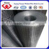 Hot Dipped Galvanized Welded Wire Mesh Rolls
