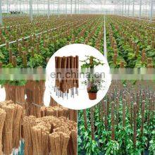 Brand New Wood Decorative Stakes Stand Garden Climber Moss Coco Coir Plant Support Sticks thumbnail-4