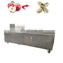 Assorted Fruit Pit Machine Apple Plum Cherry Apricot Peach Date Palm Pitter thumbnail-5