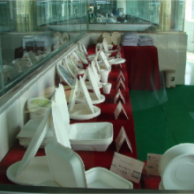 Shandong Tranlin Straw New Environmental Joint And Stock Co.,Ltd company overview - view 2 thumbnail