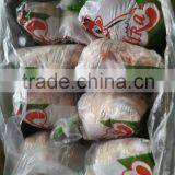 Whole Frozen Chicken thumbnail-3