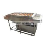 Fruit & Vegetable Processing Machines For Industrial Fruit Cleaning, Brush Roller For Fruit Washing Machine