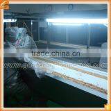 Advanced Peanut Blancher, Hazelnut Blancher, Roasted Whole Peanut Blancher, Continuous Blancher, Food Processing Equipment 1TPH thumbnail-6