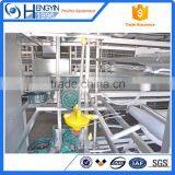 Chicken Farm South Africa Egg Layer Cages thumbnail-3