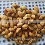 Good Taste Roasted Almond NP Type for Sales