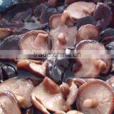 Brined Shiitake Mushroom thumbnail-1