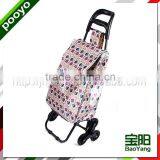 hand shopping trolley fashion lady beautiful makeup travel bag