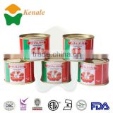 tinning paste tomato paste jar tin cans for tomato paste 70gX50tins