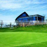 Sport Turf Synthetic Grass Lawn Carpet Artificial Grass