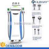 2016 Hottest Sale!!!! Effectively Cryolipolysis Machine Double Chin Removal For Body Slimming Fat Removal Vertical thumbnail-1