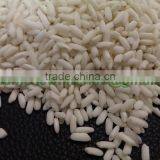 THE BEST QUALITY VIETNAM GLUTINOUS RICE 10% BROKEN- VINAFOOD1