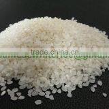 THE BEST QUALITY OF JAPONICA RICE 5% BROKEN - VINAFOOD1 thumbnail-1