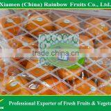 Fresh Navel Orange thumbnail-1