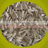 Sunflower Seeds (raw/roasted) thumbnail-1