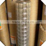 1/2 Inch High Quality Galvanized Welded Wire Mesh Price / Welded Wire Mesh Factory
