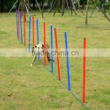Pet Agility Training Dog Play Run Jump Training Set