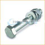 China Supplier Bolt and Nut Din 931