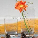 Square Glass Vase thumbnail-1