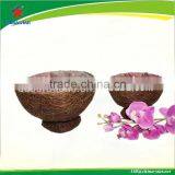 Salim Bowl Shaped Planter thumbnail-1