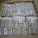 Frozen Baby Loligo Squid thumbnail-6