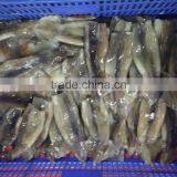 Zhengyuan Frozen Illex Squid Tube thumbnail-1