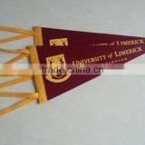 Customized Printed Felt Pennant thumbnail-2