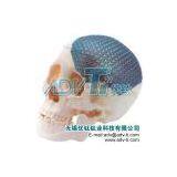 Medical Titanium Mesh thumbnail-2