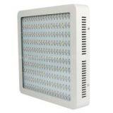 High Power 200leds Square 1200w Led Grow Light thumbnail-2