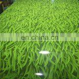 With Reasonable Price PPGI Steel Coil PPGI Sheet PPGI Coil thumbnail-3