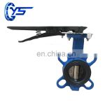 D71X PN10/16 EPDM Sealing Center Line Butterfly Valve For Water